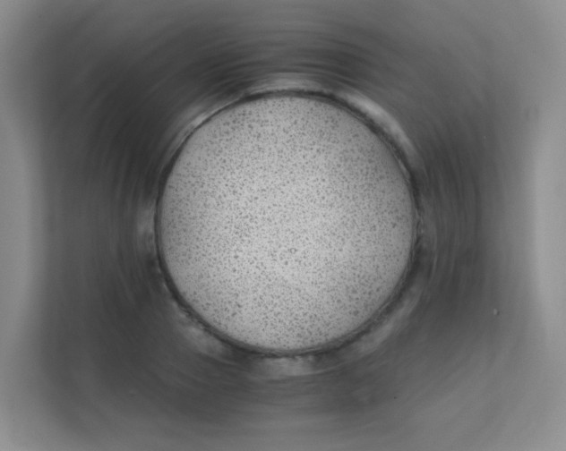 X0000111390937200907311111