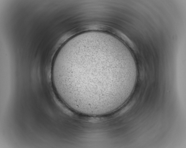 X0000111390938200907311111