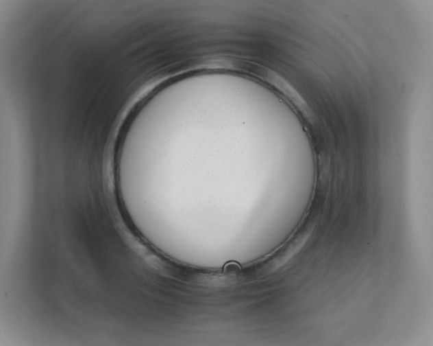 X0000111390939200907311111