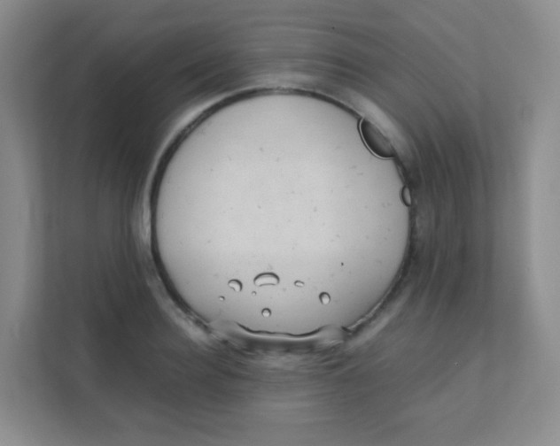 X0000111390940200907311111