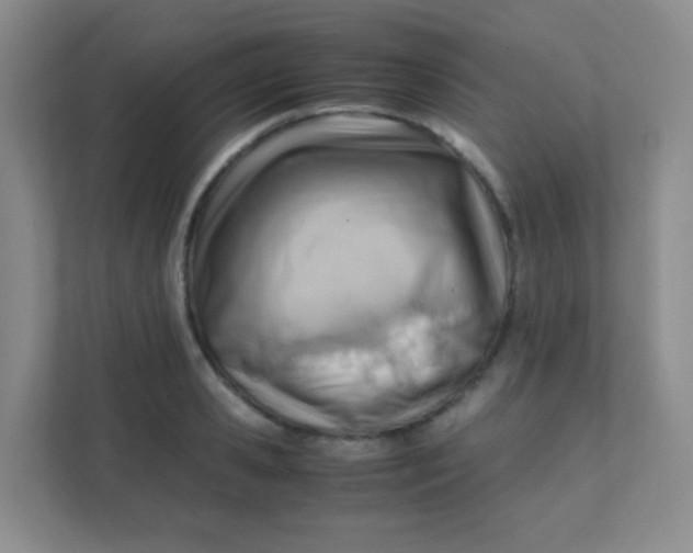 X0000111390941200907311111