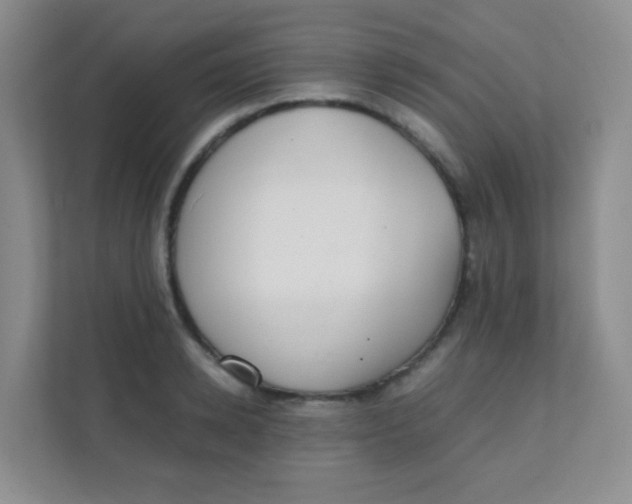 X0000111390942200907311111