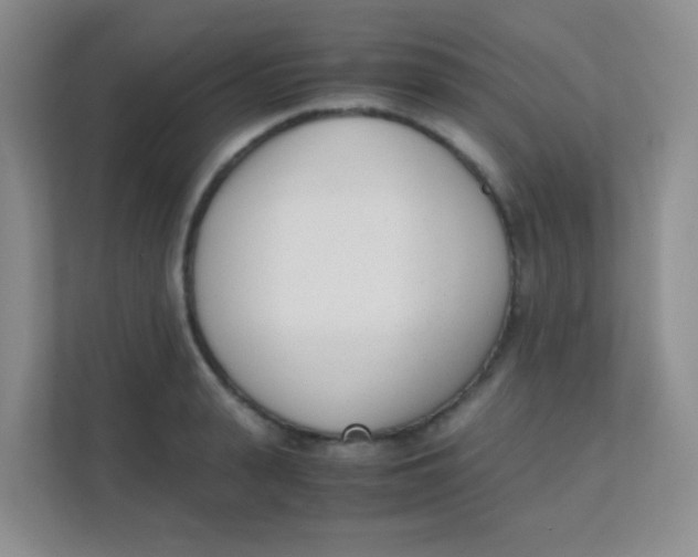 X0000111390943200907311111