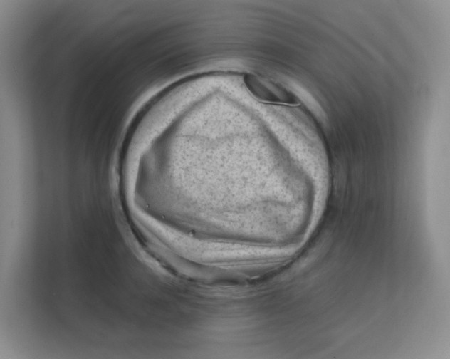 X0000111390944200907311111