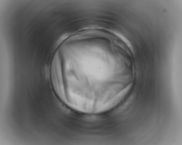 X0000111390945200907311111