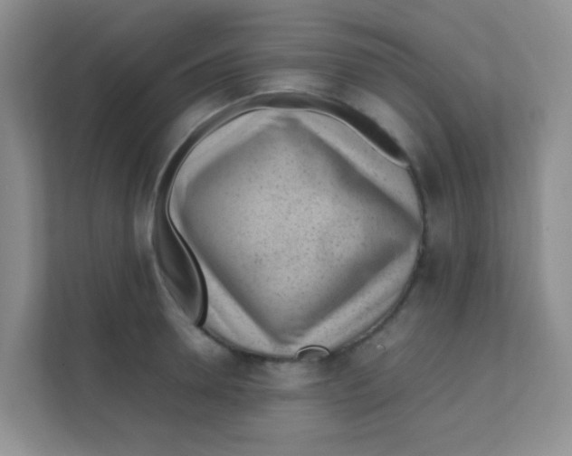 X0000111390946200907311111