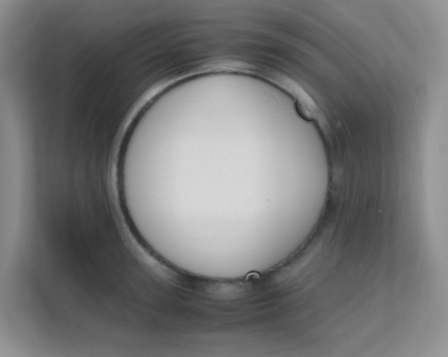 X0000111390947200907311111