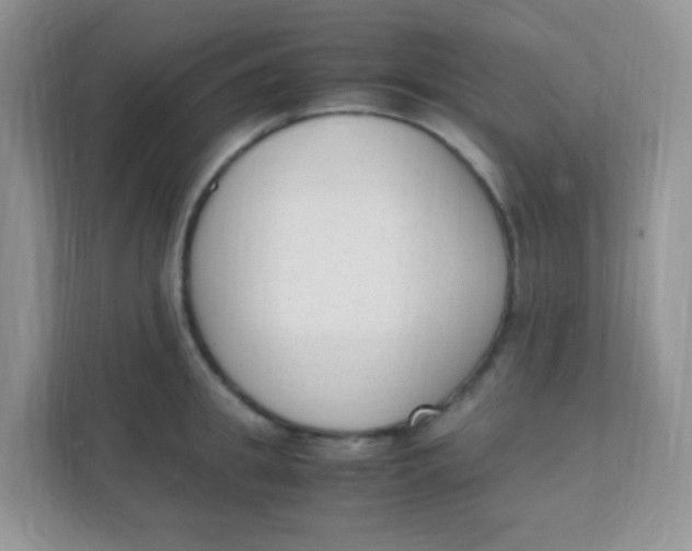 X0000111390949200907311111