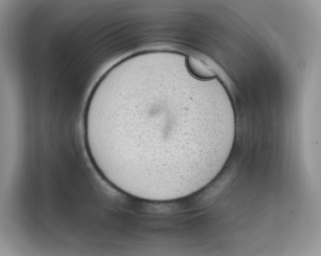 X0000111390951200907311111