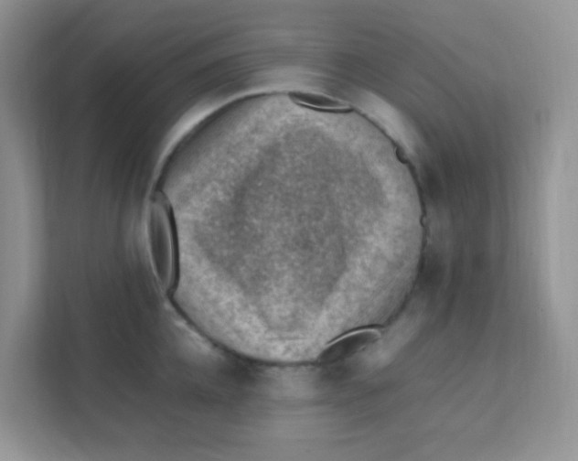 X0000111390952200907311111