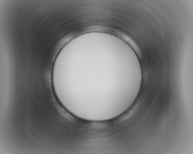 X0000111390954200907311111