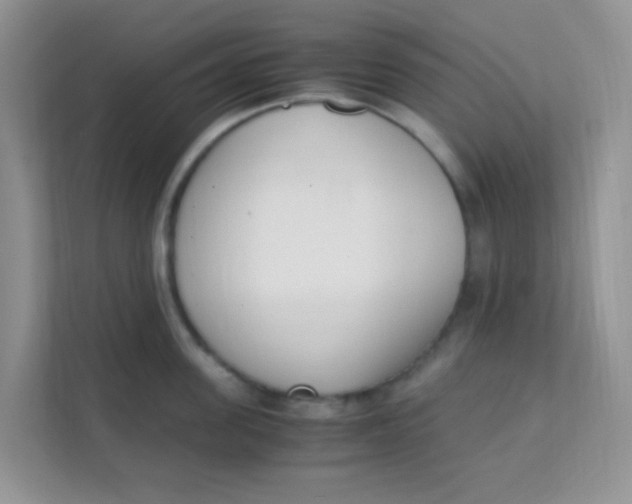 X0000111390955200907311111