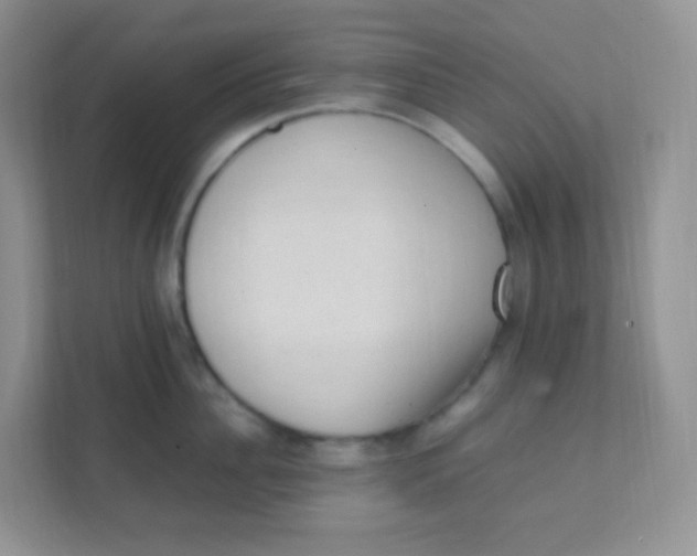 X0000111390956200907311111