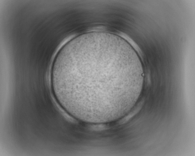 X0000111390957200907311111