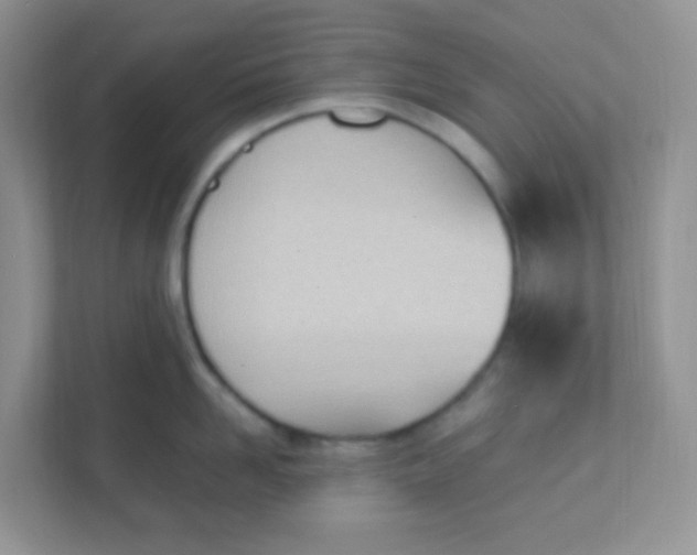 X0000111390958200907311111