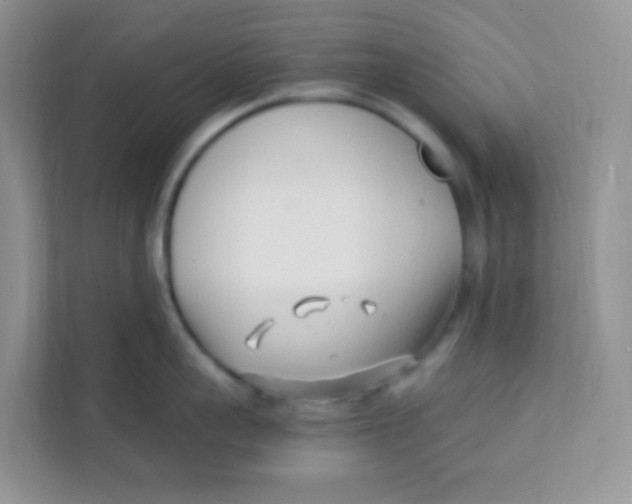 X0000111390959200907311111