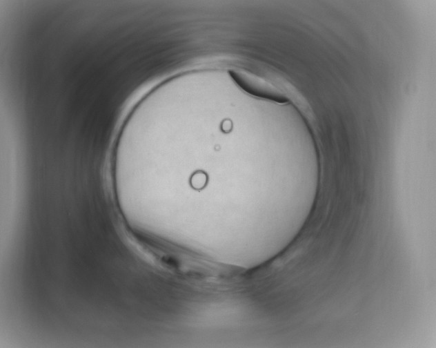 X0000111390960200907311111