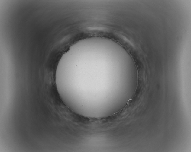 X0000111390965200907311110