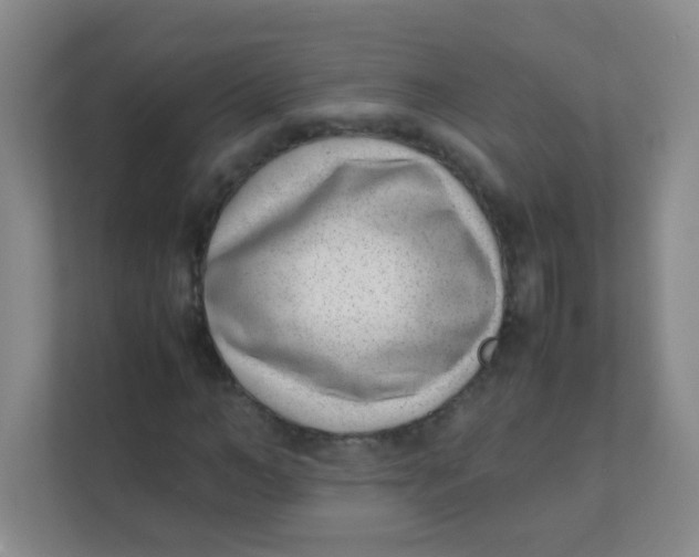 X0000111390966200907311110