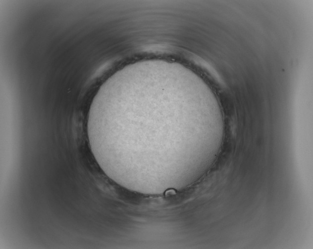 X0000111390968200907311110