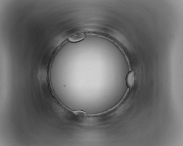 X0000111390969200907311110