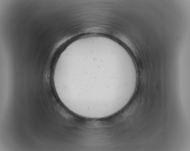 X0000111390971200907311110