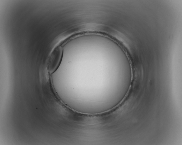 X0000111390973200907311110