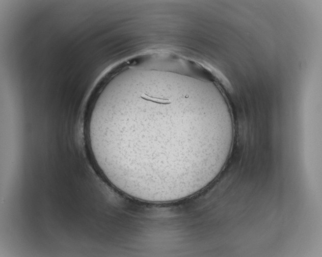 X0000111390976200907311110