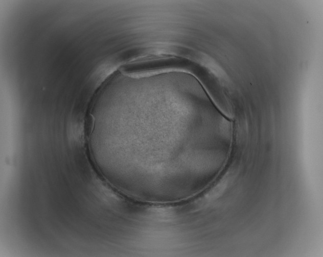 X0000111390977200907311110