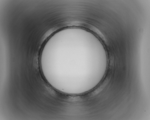 X0000111390978200907311110