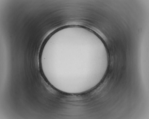 X0000111390980200907311110