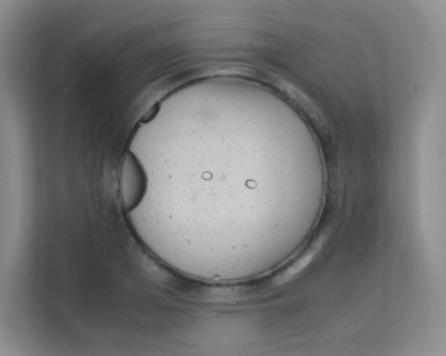 X0000111390985200907311110