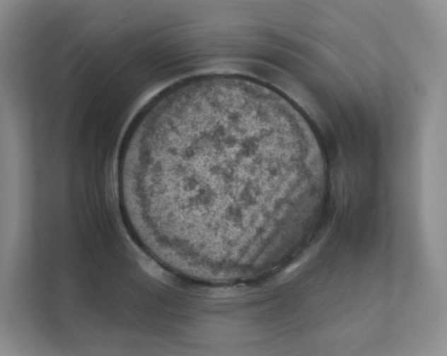 X0000111390988200907311110