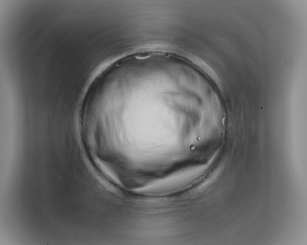 X0000111390989200907311110