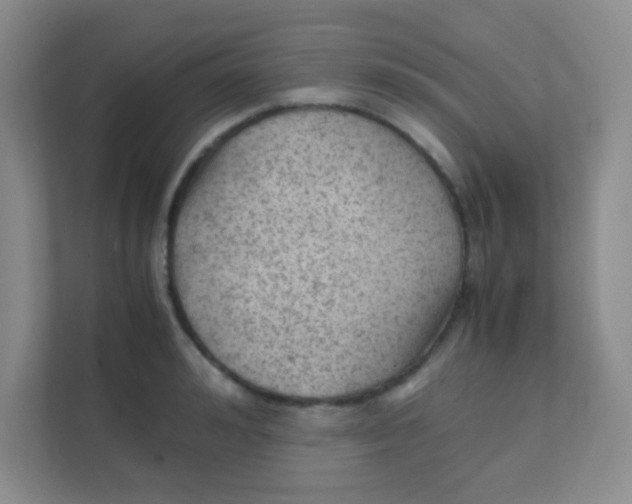 X0000111390992200907311110