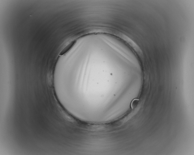 X0000111390993200907311110