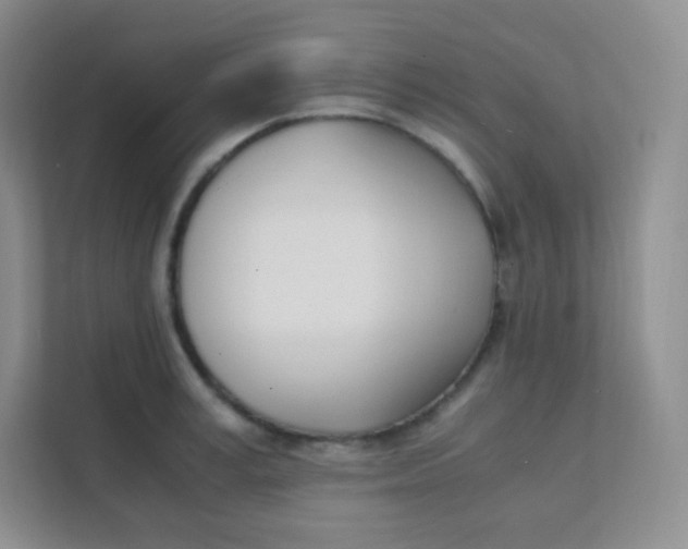 X0000111390995200907311110