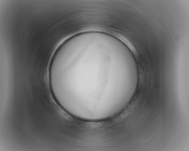 X0000111390996200907311110