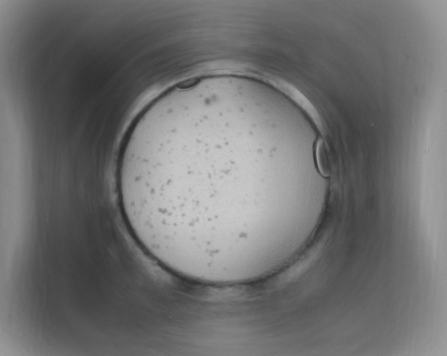 X0000111390997200907311110