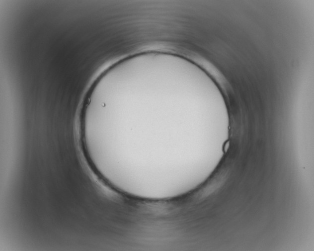 X0000111390999200907311110