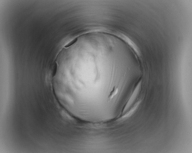 X0000111391001200907311110