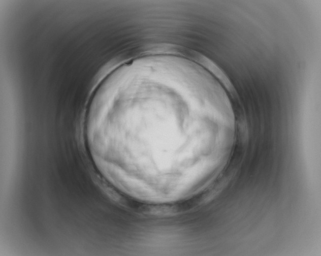 X0000111391002200907311110