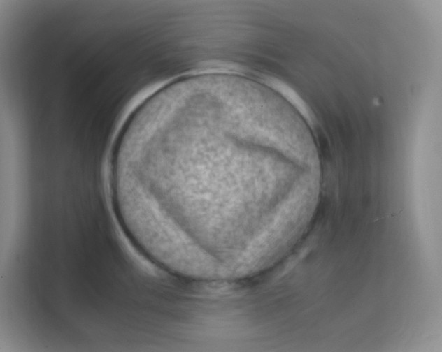 X0000111391003200907311110