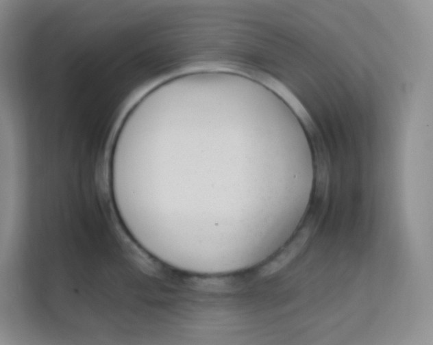 X0000111391004200907311110