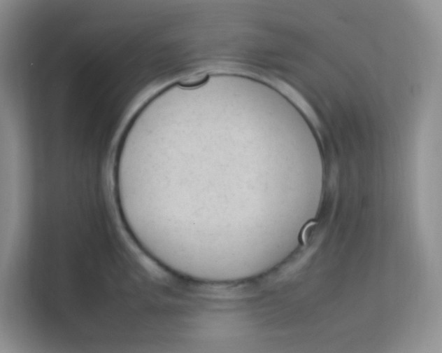 X0000111391005200907311110