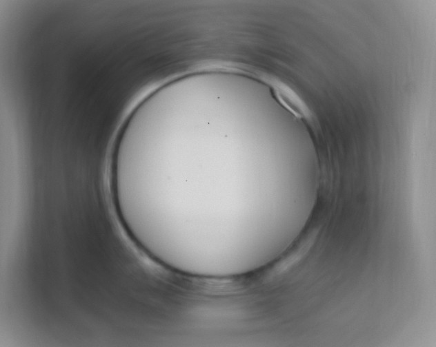 X0000111391007200907311110