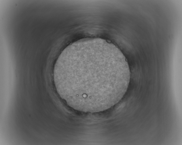 X0000111391009200907311109