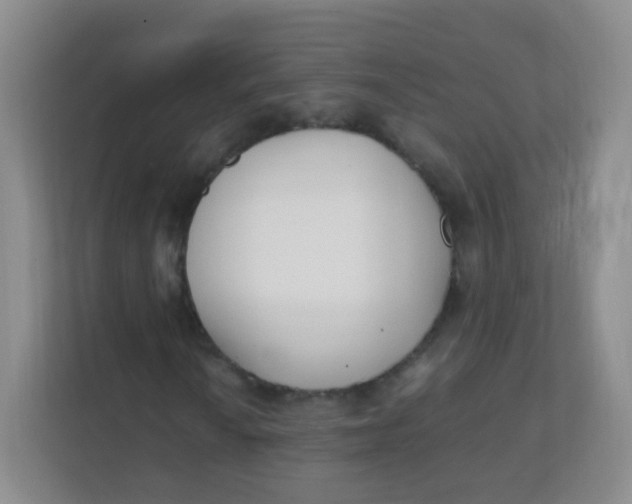 X0000111391010200907311109