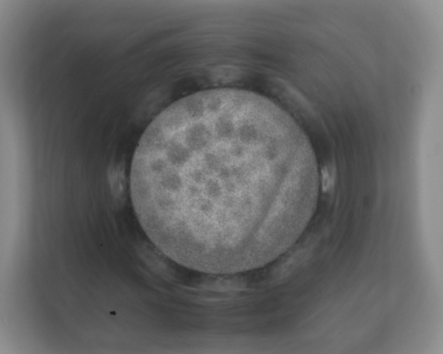 X0000111391011200907311109