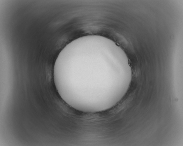 X0000111391012200907311109